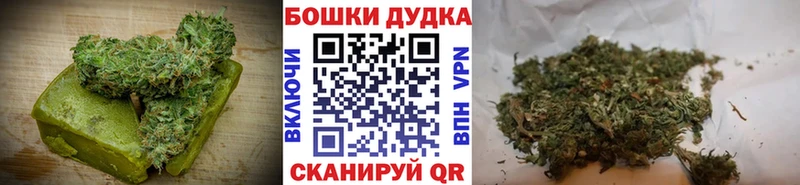 Купить где  Камбарка  Cannafood конопля 