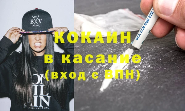 шишки Верея
