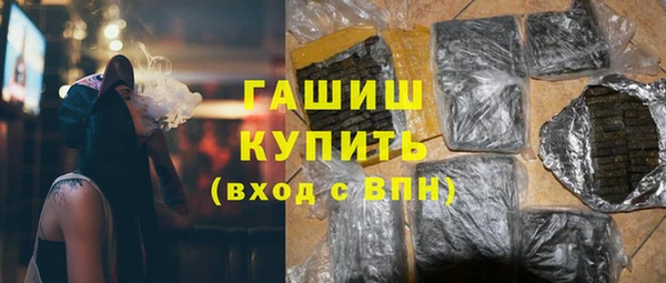 шишки Верея