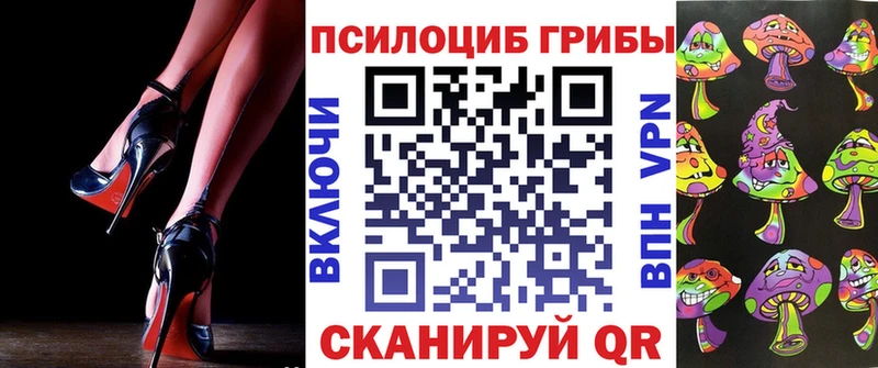 Галлюциногенные грибы прущие грибы  Купить  Камбарка 